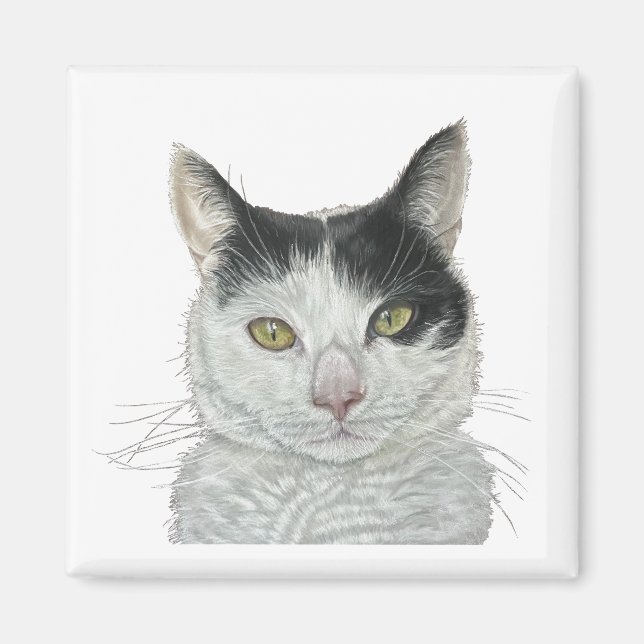 Imán Cuto gato (Frente)