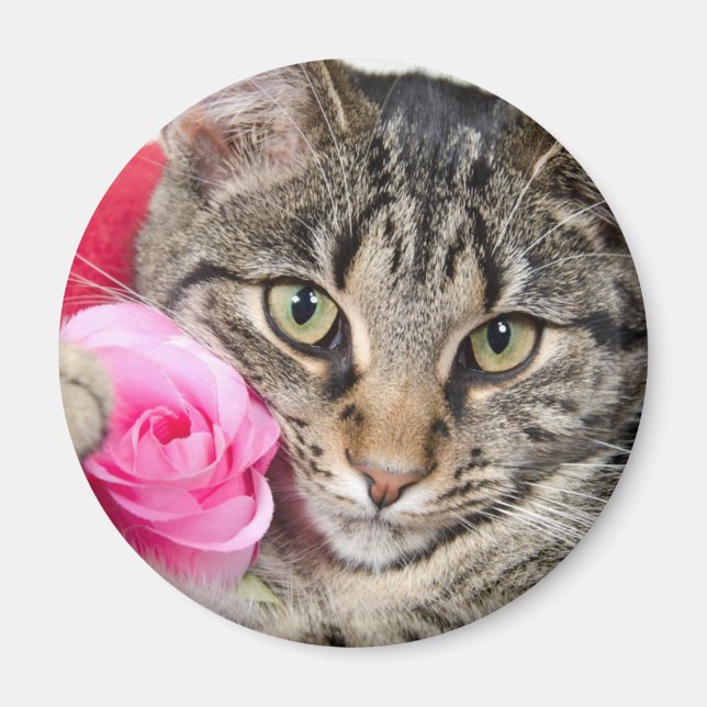 Imán Cuto gato de tabla con Rosa (Frente)