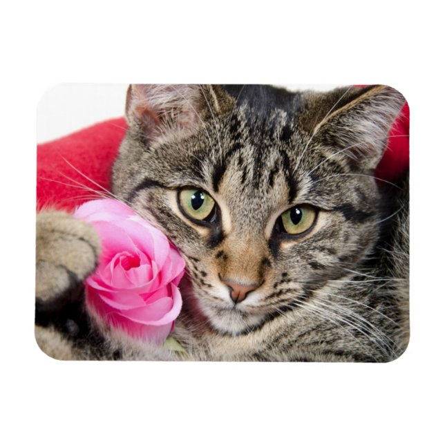 Imán Cuto gato de tabla con Rosa (Horizontal)
