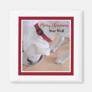 Imán Cuto perro blanco bebe agua Navidades rojos Plaza