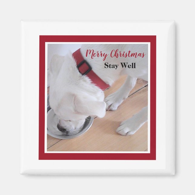 Imán Cuto perro blanco bebe agua Navidades rojos Plaza (Frente)