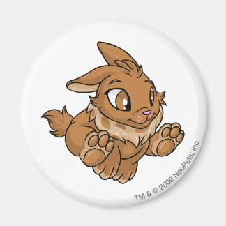 Imán Cybunny Brown