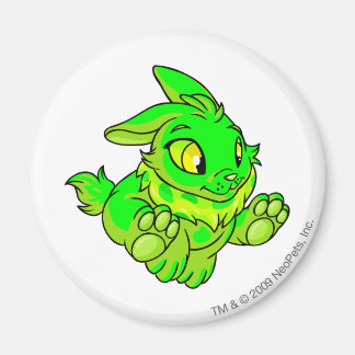 Imán Cybunny Gslow