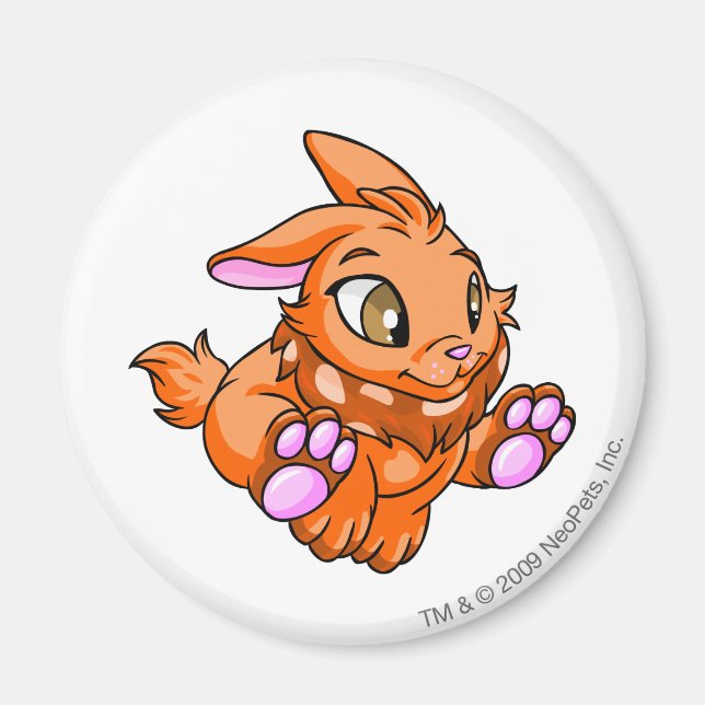 Imán Cybunny Naranja (Frente)