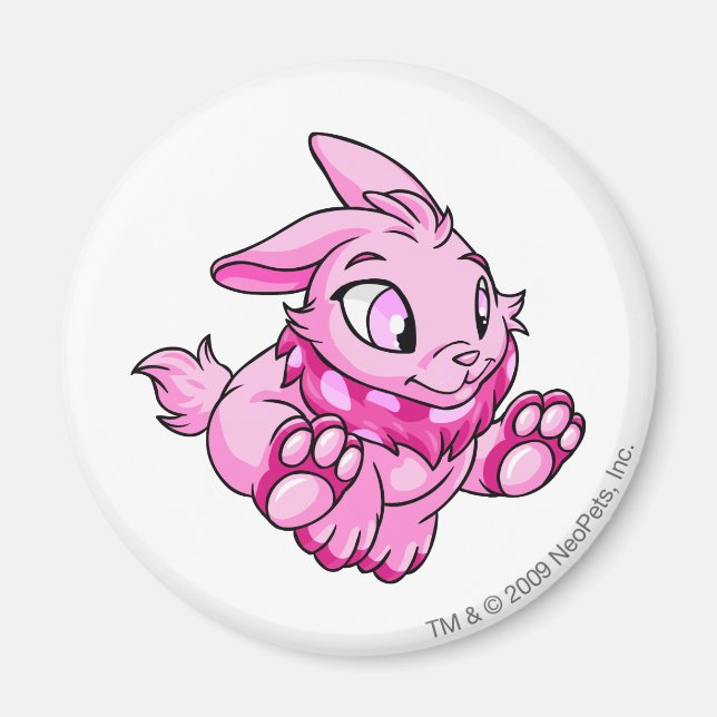 Imán Cybunny Pink (Frente)