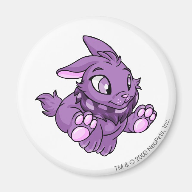 Imán Cybunny Purple (Frente)
