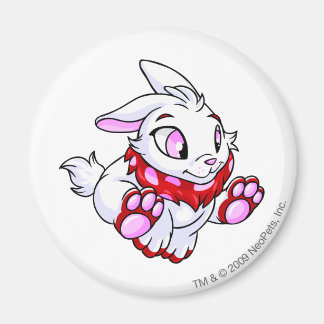 Imán Cybunny Red
