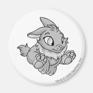 Imán Cybunny Silver