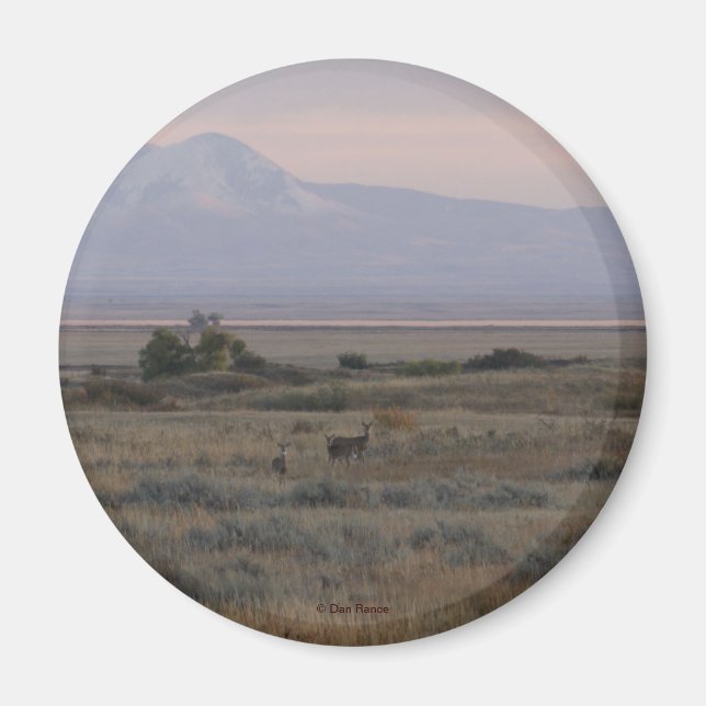 Imán D10 Colinas de venado y hierba dulce de cola blanc (Frente)