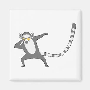 Imán Dab lemur