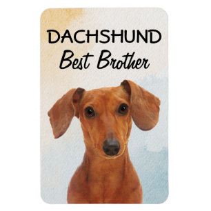 Imán Dachshund Best Brother Magnet
