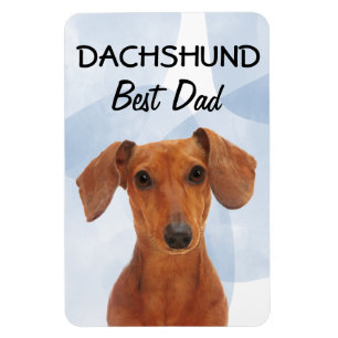 Imán Dachshund Best Dad Magnet