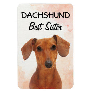 Imán Dachshund Best Sister Magnet
