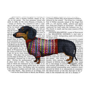 Imán Dachshund Con Suéter Lana