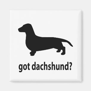 Imán Dachshund conseguido