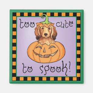 Imán Dachshund de cabello largo de Halloween