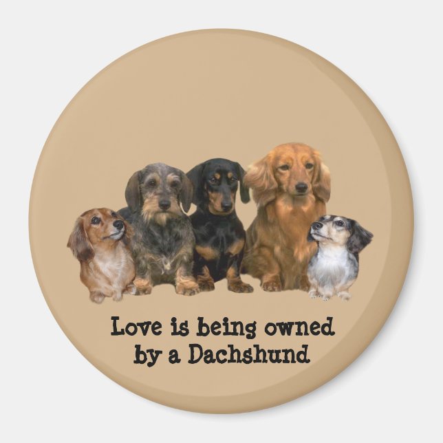 Imán Dachshund Gang Magnet (Frente)