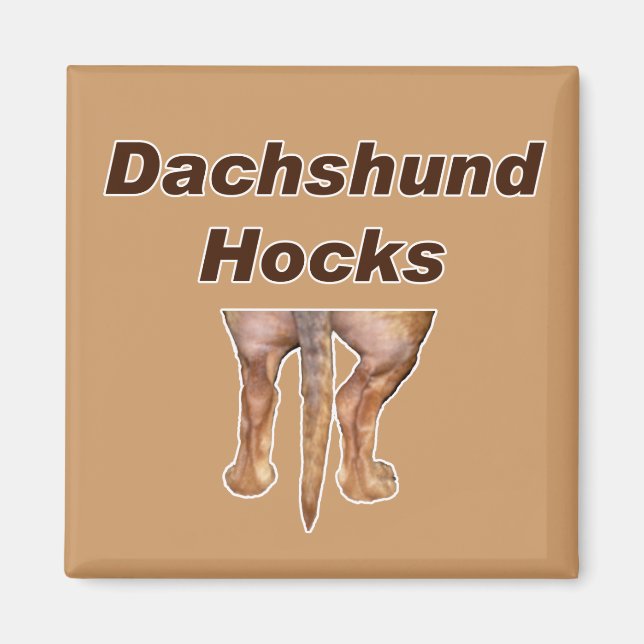 Imán Dachshund Hocks (Frente)