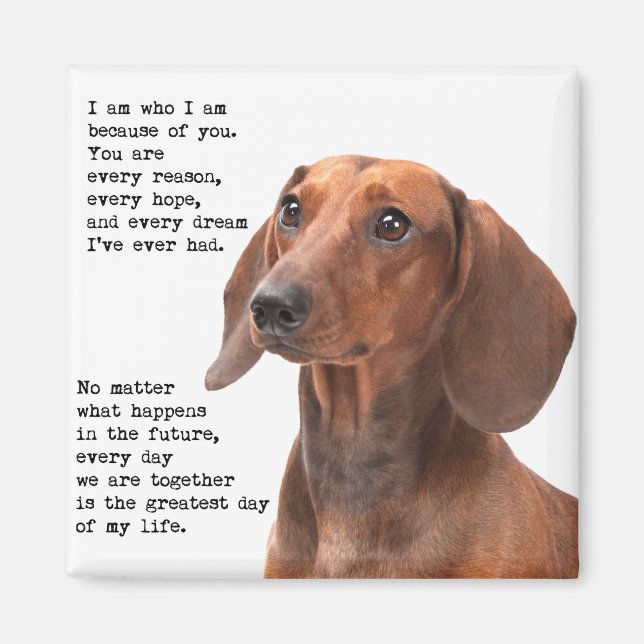 Imán Dachshund Magnet (Frente)