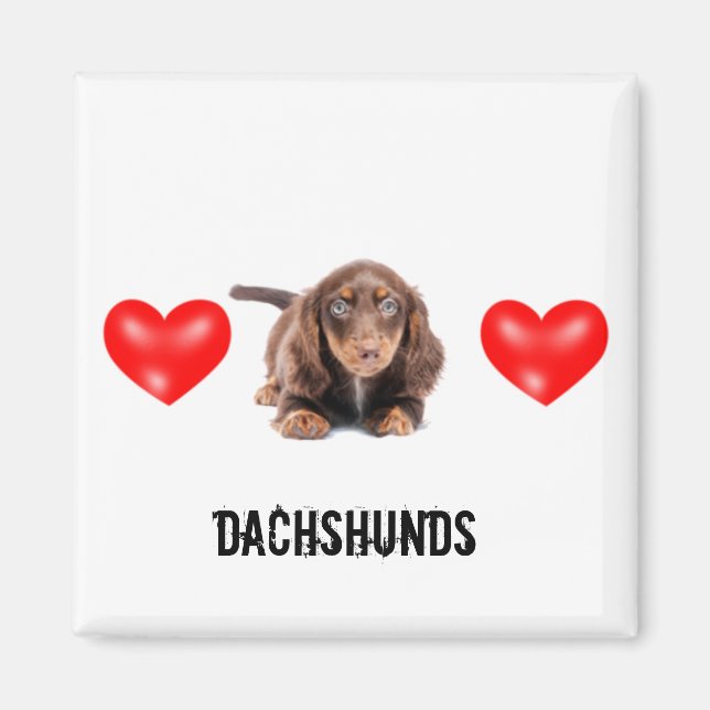 Imán Dachshund Magnet (Frente)