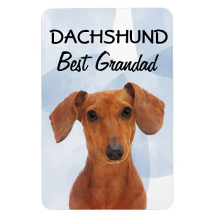 Imán Dachshund Mejor Grandad Magnet