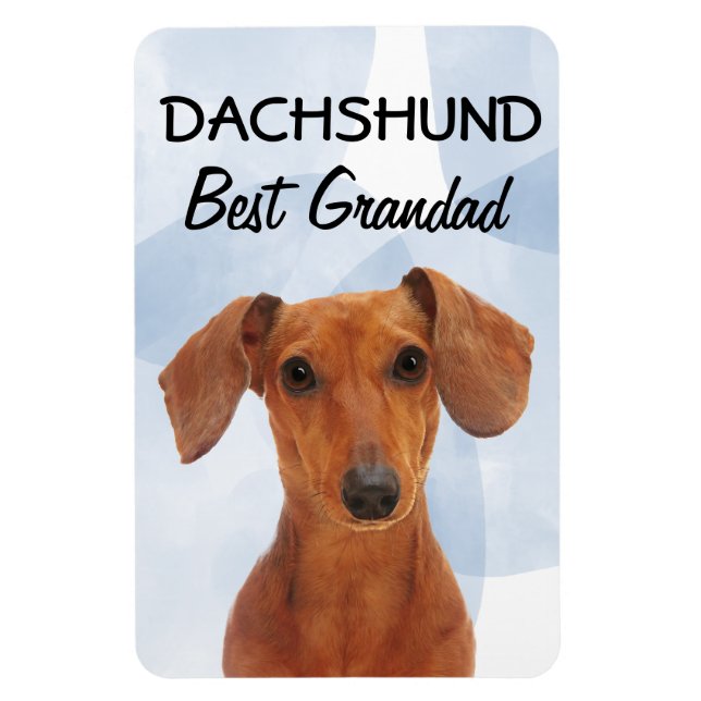 Imán Dachshund Mejor Grandad Magnet (Vertical)