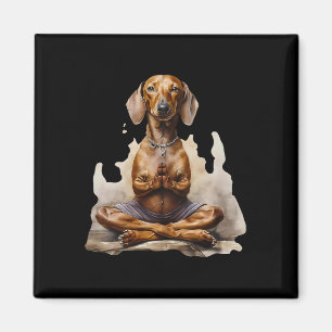 Imán Dachshund Muay Thai Boxeo Karate Kickboxing Marti