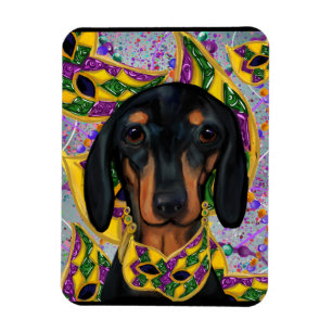 Imán Dachshund or perro salchicha