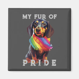 Imán Dachshund Perro Arcoiris Funny Mi Orgullo De Piele
