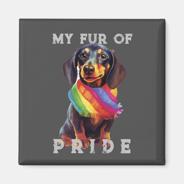 Imán Dachshund Perro Arcoiris Funny Mi Orgullo De Piele (Frente)