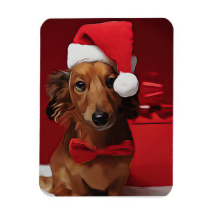 Imán Dachshund Sentado Frente A Un Regalo De Navidades