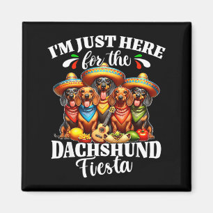 Imán Dachshund solo está aquí para cinco de mayo dachsh