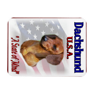 Imán Dachshund USA