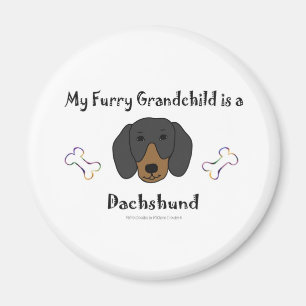 Imán DachshundBlackTan