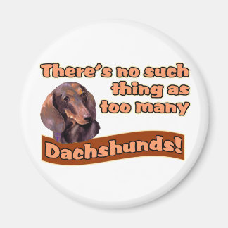 IMÁN DACHSHUNDS