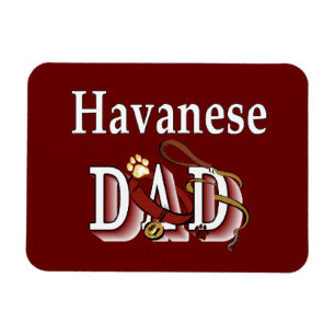 Imán DAD Havanesa