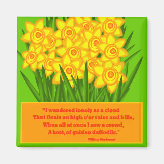 Imán Daffodils