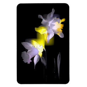 Imán Daffodils cubistas