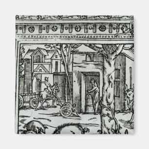 Imán d'Agriculture del teatro y campeones del DES de