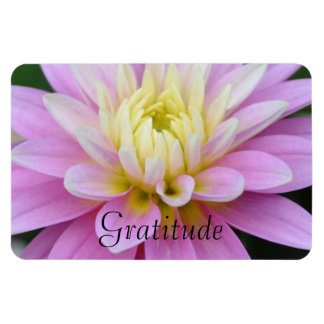 Imán Dahlia Gratitude Magnet