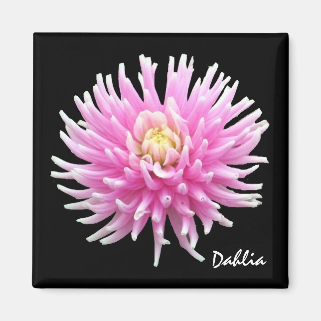 Imán Dahlia Magnet (Frente)