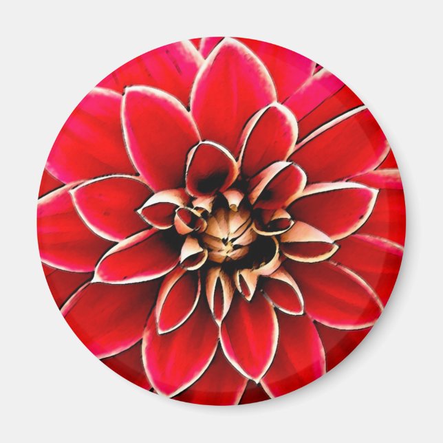 Imán Dahlia roja, arte digital (Frente)