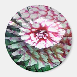 Imán Dahlia twirl...