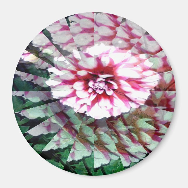 Imán Dahlia twirl... (Frente)