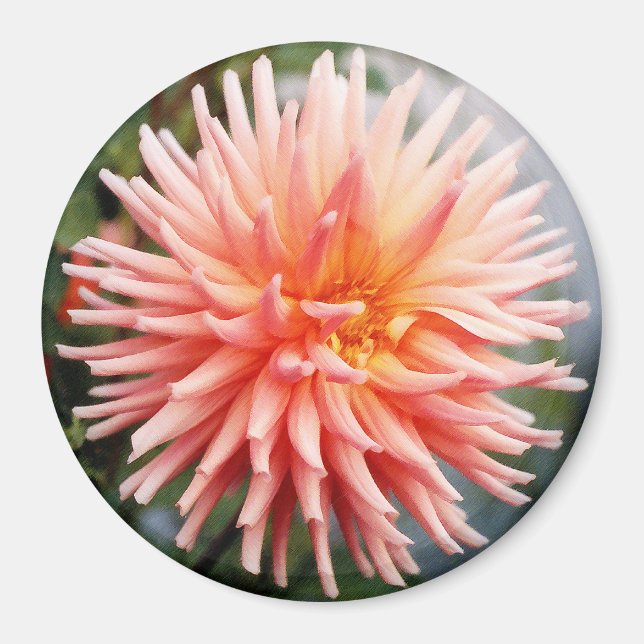 Imán Dahlias Flor Deslumbrante (Frente)