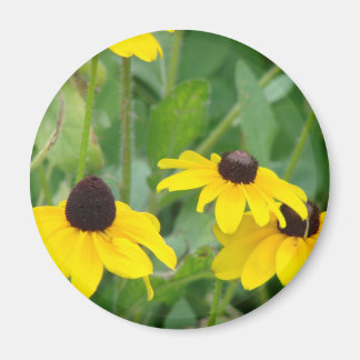 Imán Daisies amarillos