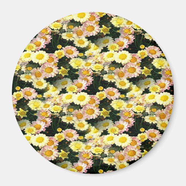 Imán Daisies Galore...... (Frente)