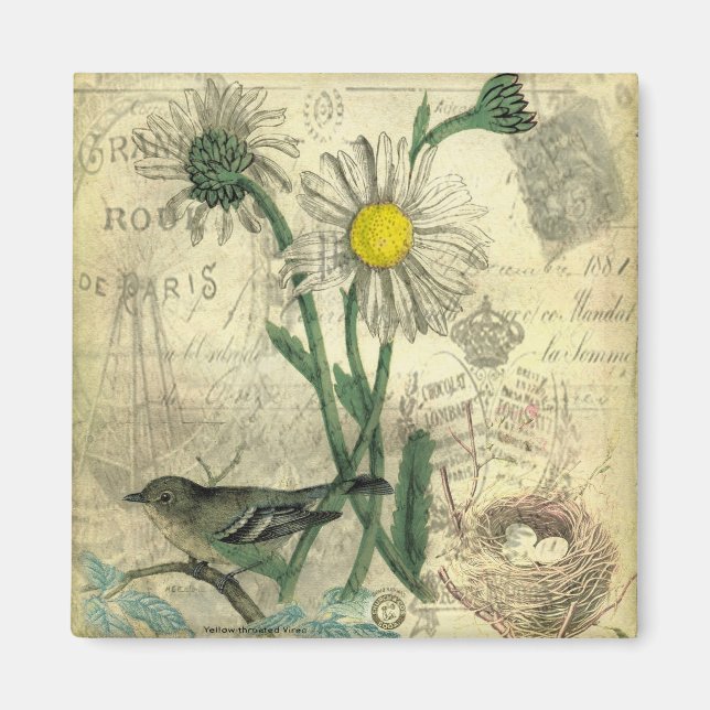 Imán Daisies vintage (Frente)