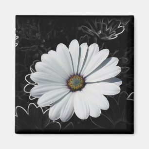 Imán Daisies y tonos grises