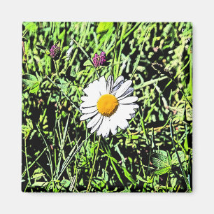 Imán Daisy
